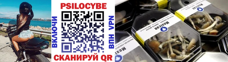 mega как зайти  Северобайкальск  Псилоцибиновые грибы мухоморы 