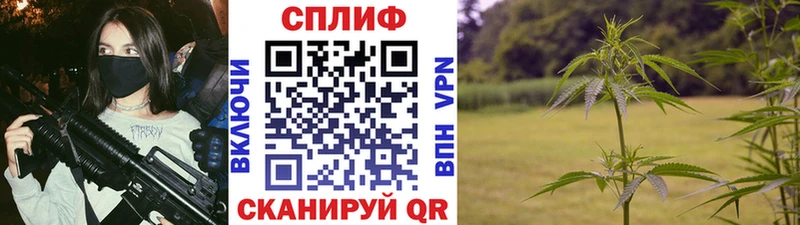 закладка  Северобайкальск  Бошки марихуана конопля 